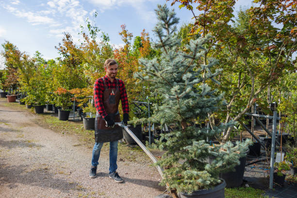 Best Seasonal Cleanup (Spring/Fall)  in Gouldtown, NJ